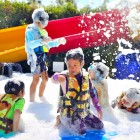 เดอะวิสต้า เขาใหญ่